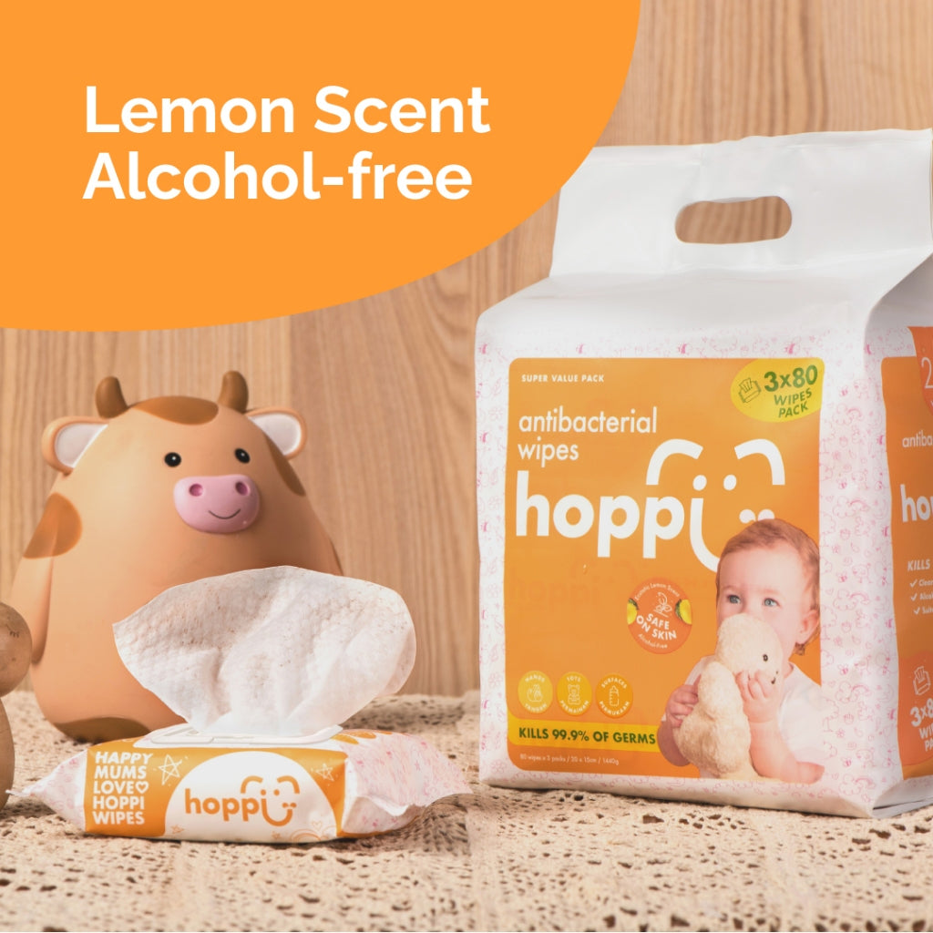 Hoppi 80's 3-In-1 Bundle Pack Antibac Wet Wipes (wt Cap) HB024