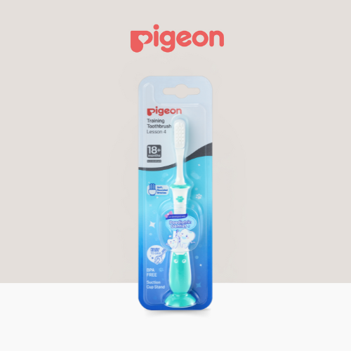 Pigeon Training Toothbrush Lesson 4 Green