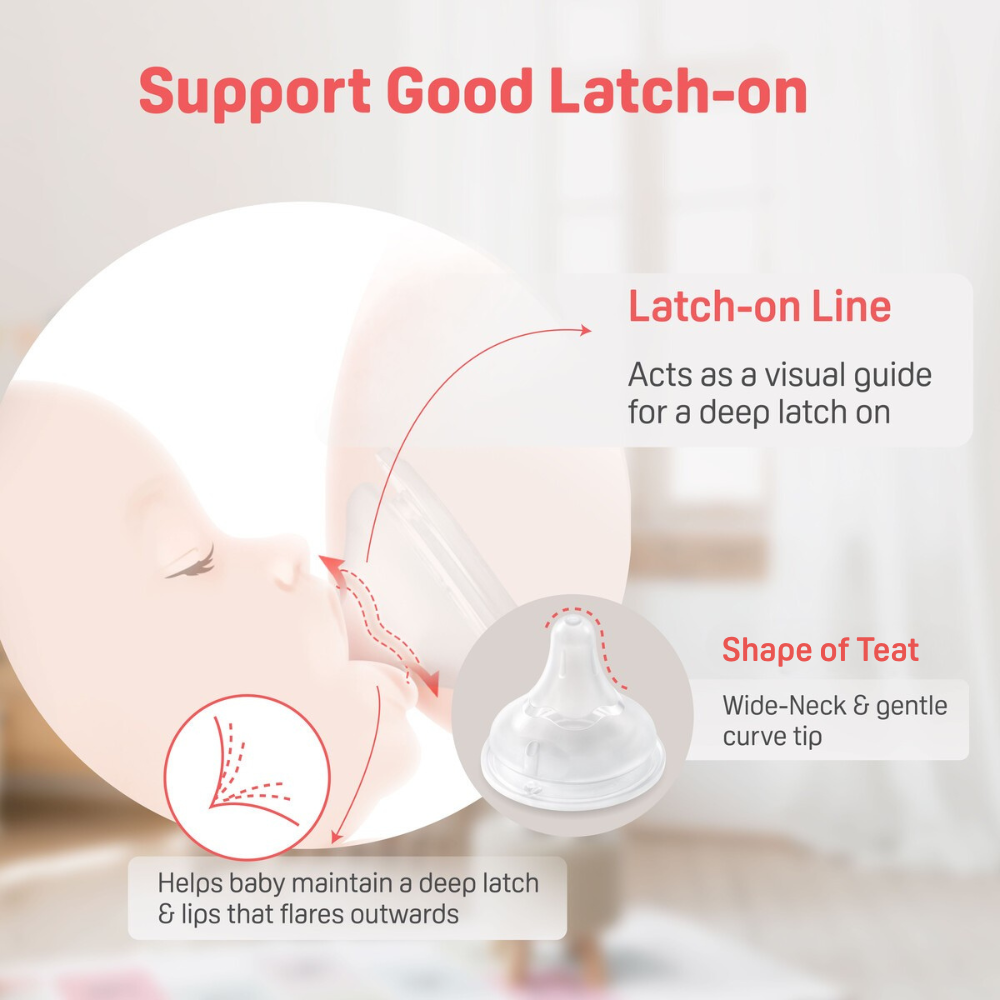 Pigeon 81358 SOFTOUCH BPP NURSING BOTTLE 240ML-AUTUMN