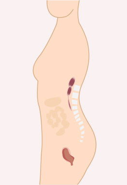 Mamaway Nano Bamboo Postnatal Recovery & Support Belly Band