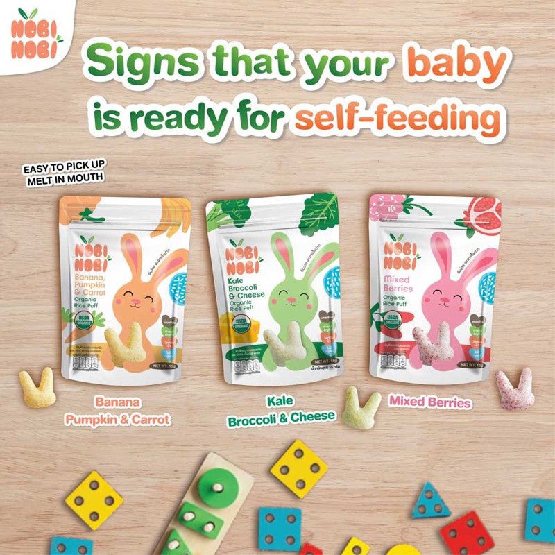 [HALAL] Nobi Nobi Organic Jasmine Rice Puffs 40g