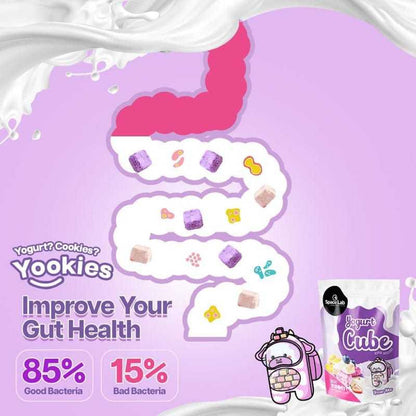 SPACE LAB YOGURT / BLUEBERRY YOOKIES/ MANGO YOOKIES/ STRAWBERRY YOOKIES/ STRAWBERRY FREEZE DRIED 26g