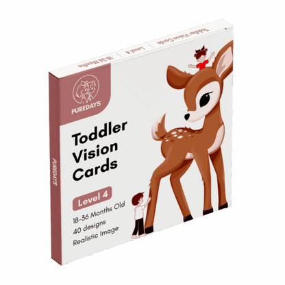 Pure Day Toddler Vision Cards