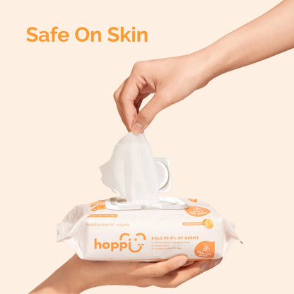 Hoppi 80's 3-In-1 Bundle Pack Antibac Wet Wipes (wt Cap) HB024