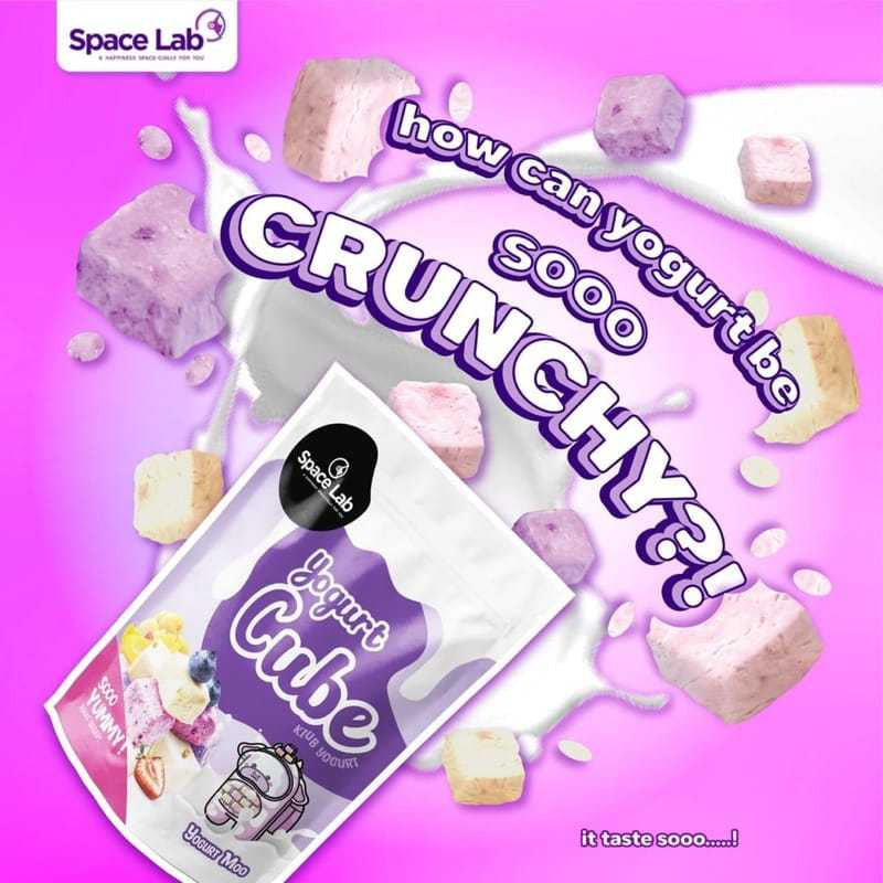 SPACE LAB YOGURT / BLUEBERRY YOOKIES/ MANGO YOOKIES/ STRAWBERRY YOOKIES/ STRAWBERRY FREEZE DRIED 26g