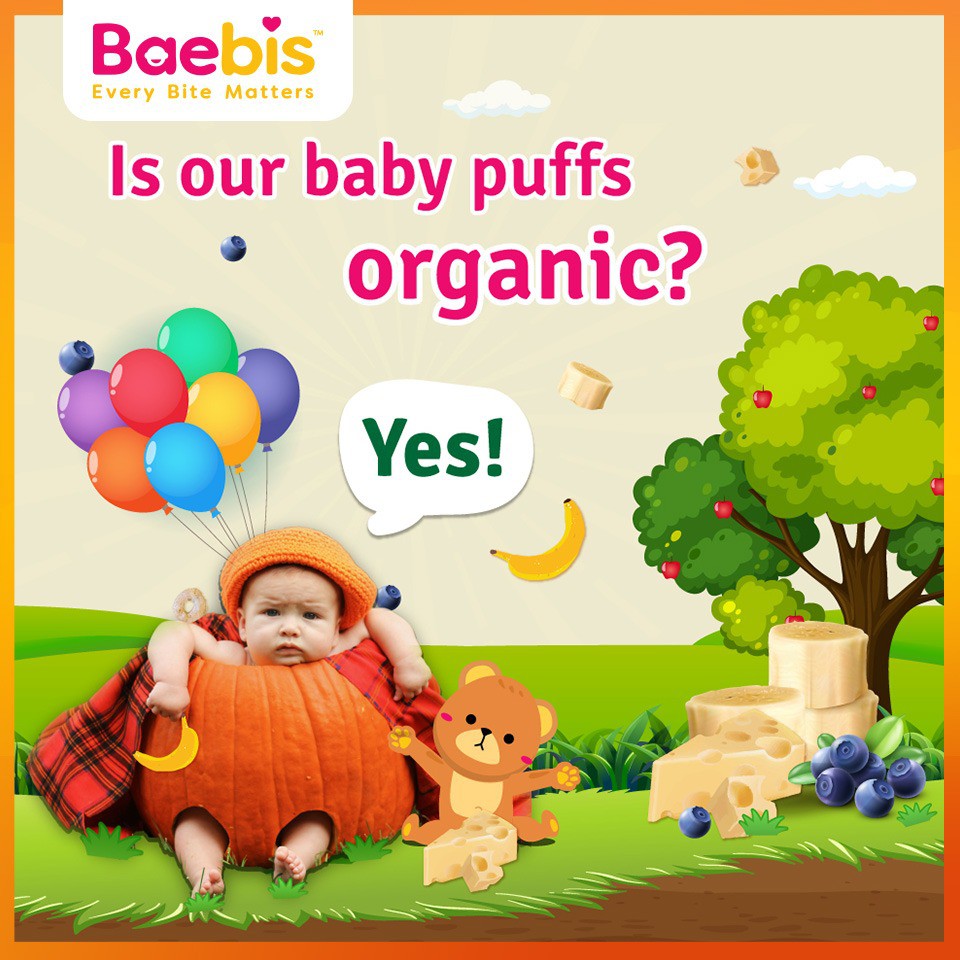 BAEBIS Rice Puffs (6m+) [HALAL]