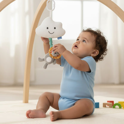 Baby Pull Musical Toy