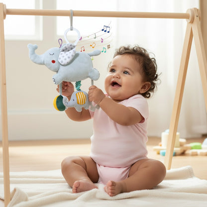Baby Sensory Pulling Hanging Toy